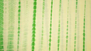 Green Shibori Banarasi Silk Cotton Fabric 