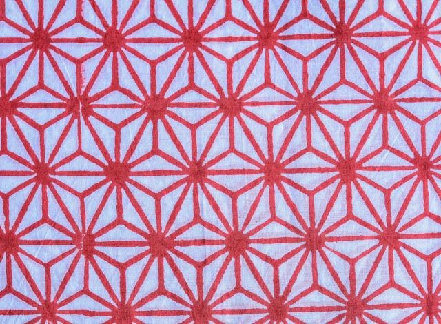 Red And White Floral Web  Block Print Fabric