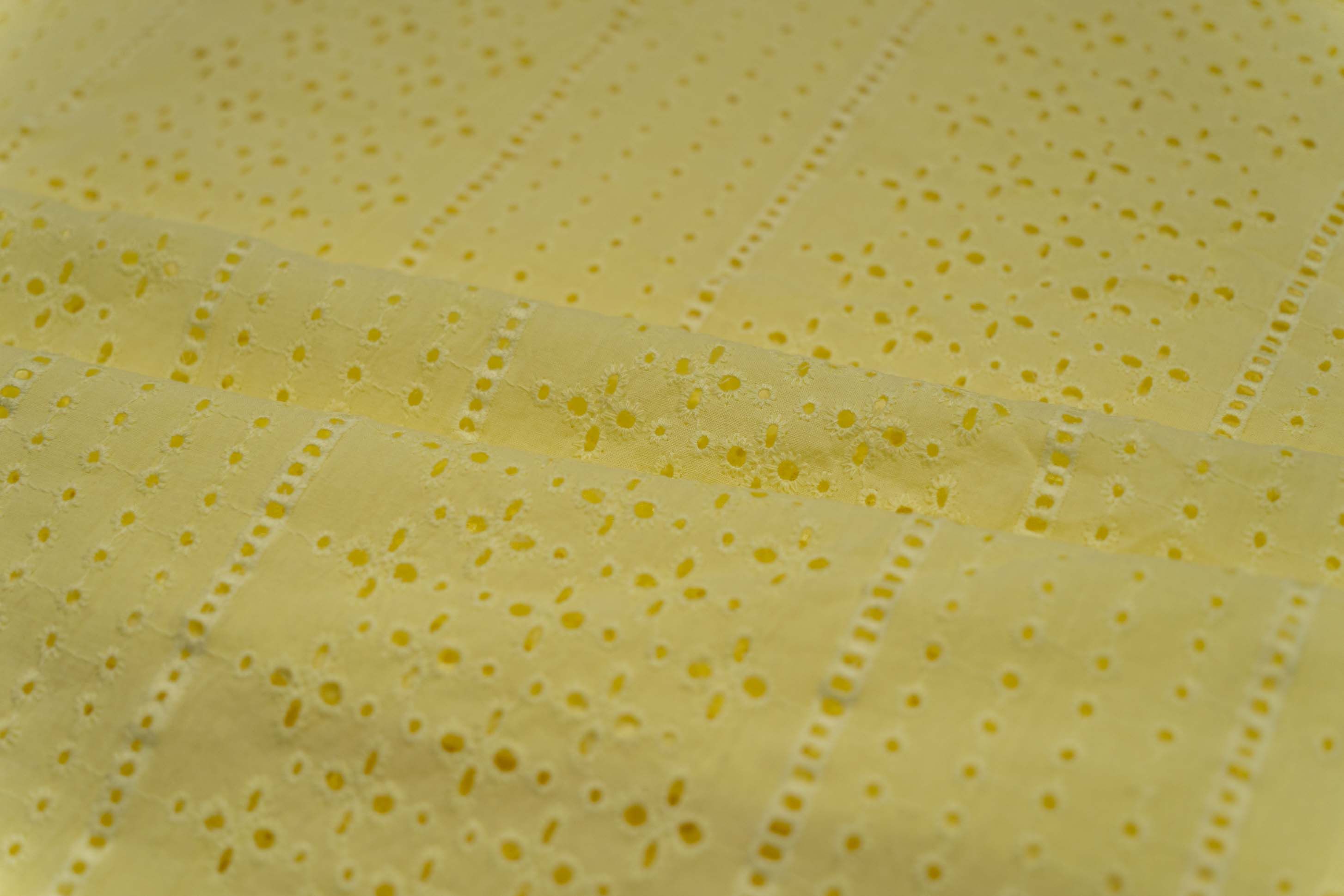 Limelight Chikankari Embroidered Cotton Fabric (58