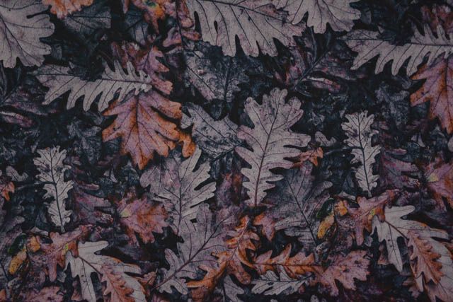 Leaf Digital Print Crepe Fabric