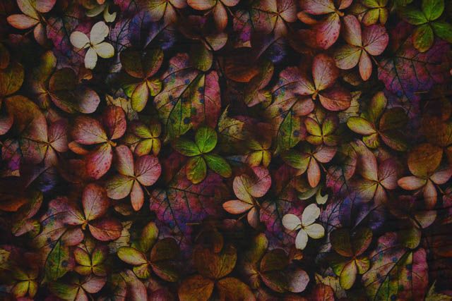Multicolor Floral Digital Print Crepe Fabric