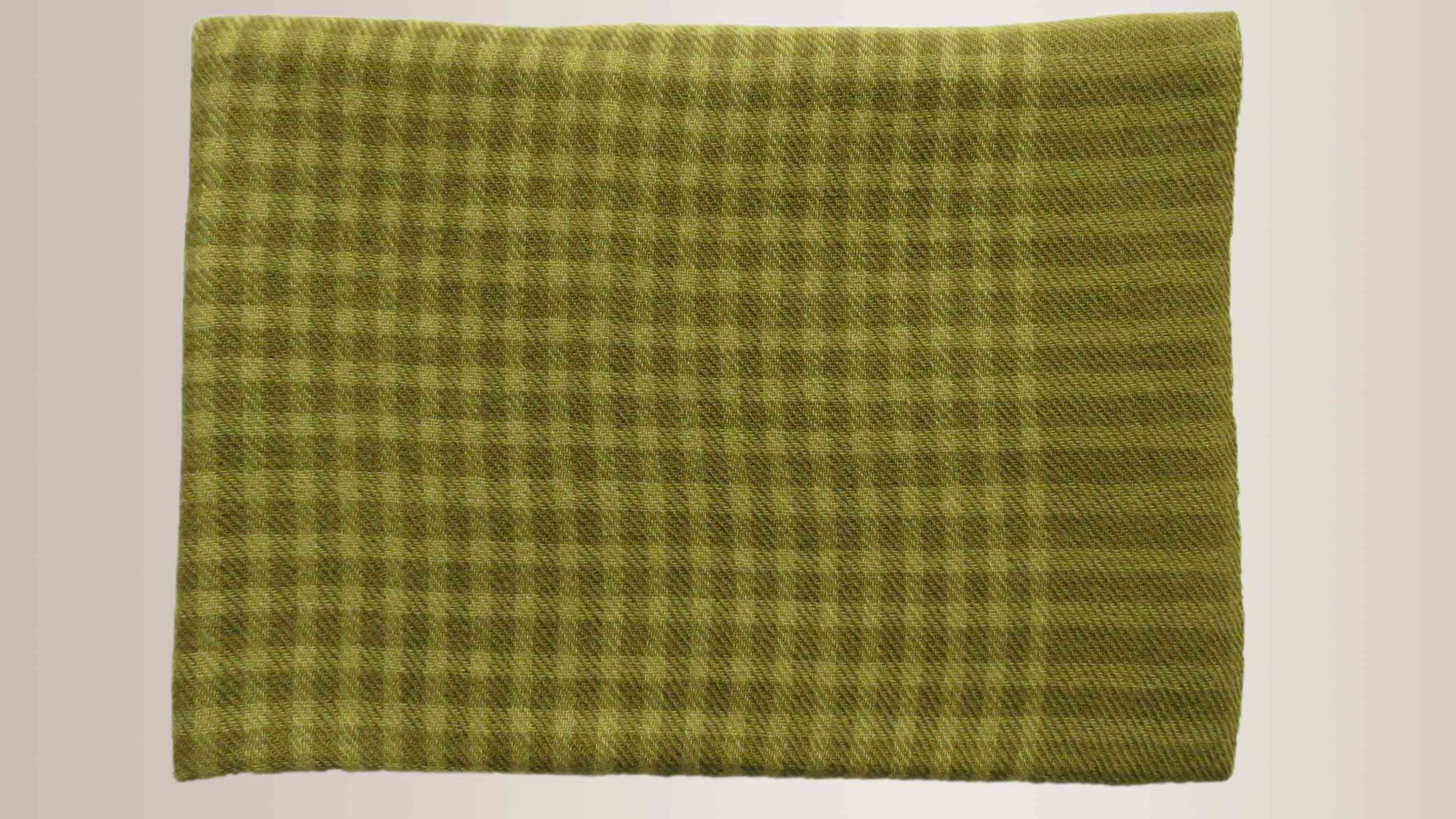 Garden Green Checks Cashmere Wool Scarf
