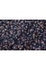 Navy Blue Leaf Giza Cotton Shirting Fabric