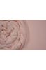 English Rose Cotton Mulmul/voile Fabric