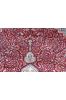 Antique Red Cream Hand Knotted Wool Rugs