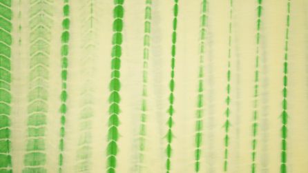 Green Shibori Banarasi Silk Cotton Fabric 