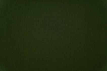 Vineyard Green Mulmul Cotton Fabric